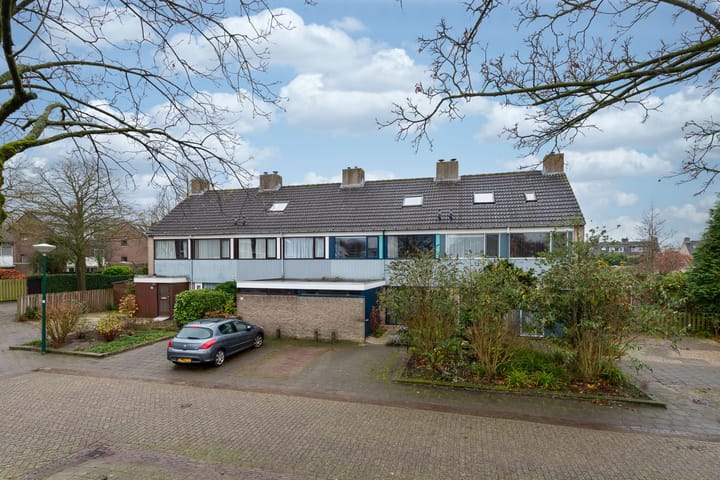 undefined main image
