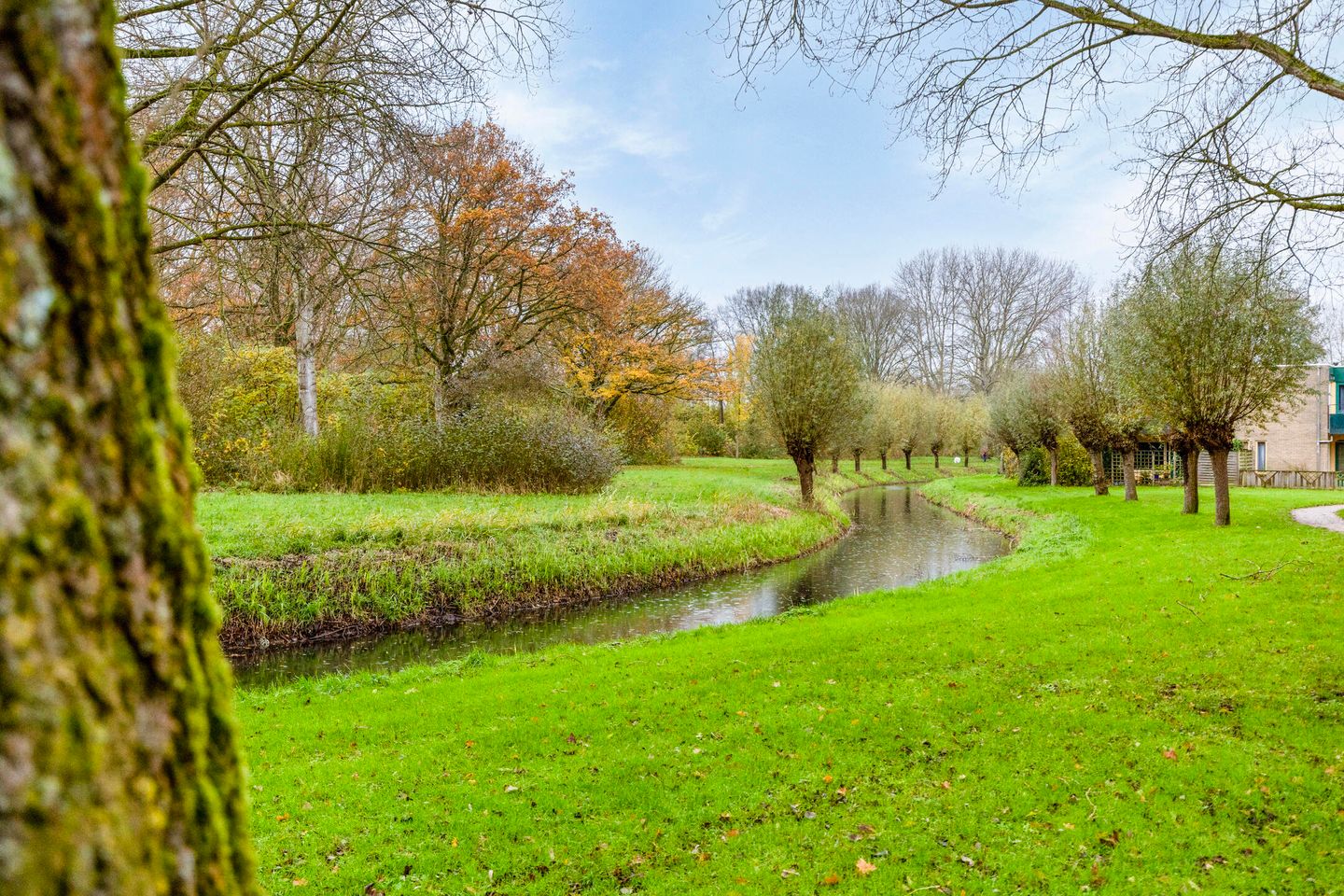 Foto 25 van Westerzicht 639