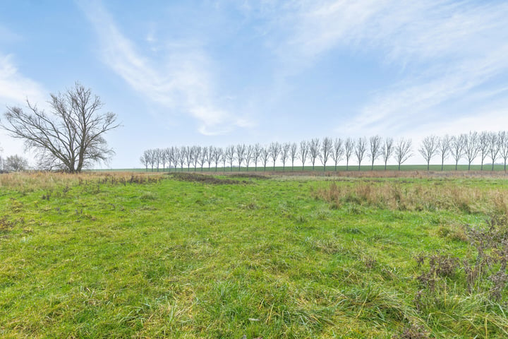 Bekijk foto 39 van Steigerdijk 11-82