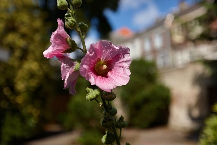 Bekijk foto 23 van Vondelstraat 141