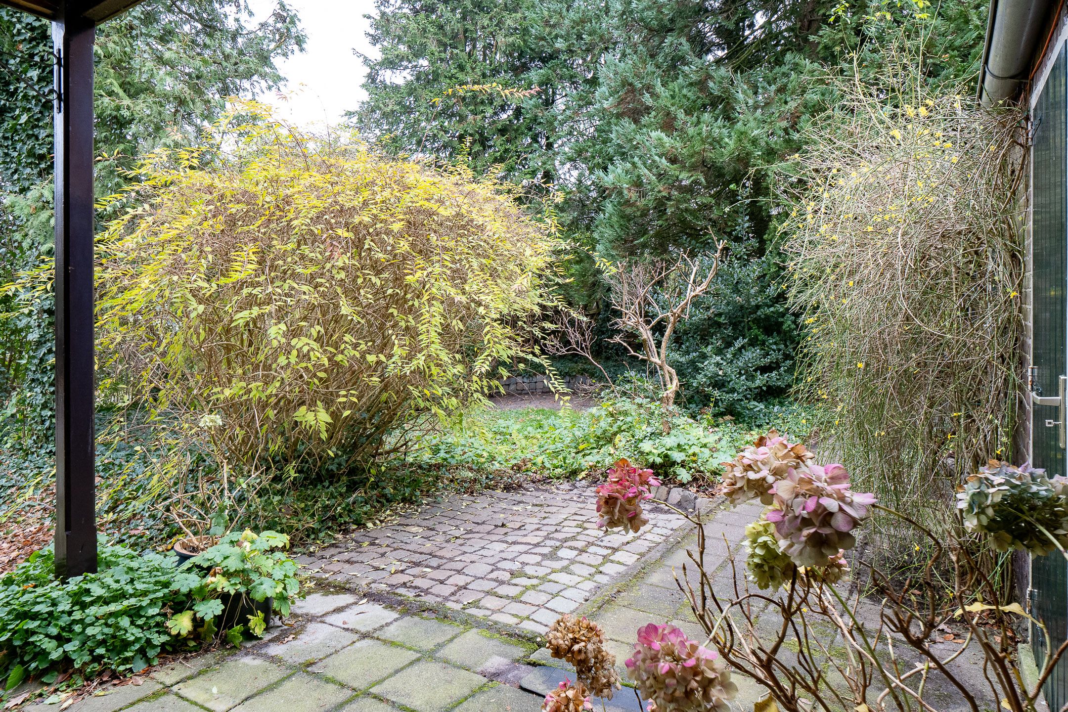 Foto 48 van Westeinde 218