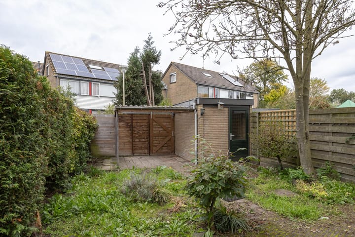 Foto 26 van Jac. P. Thijssepark 263