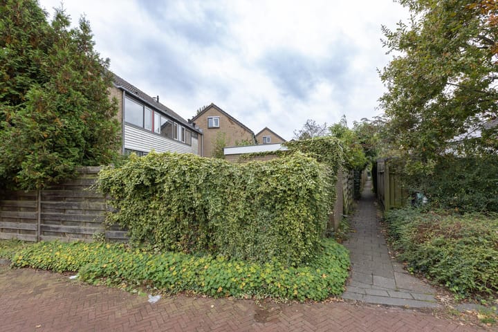 Foto 29 van Jac. P. Thijssepark 263