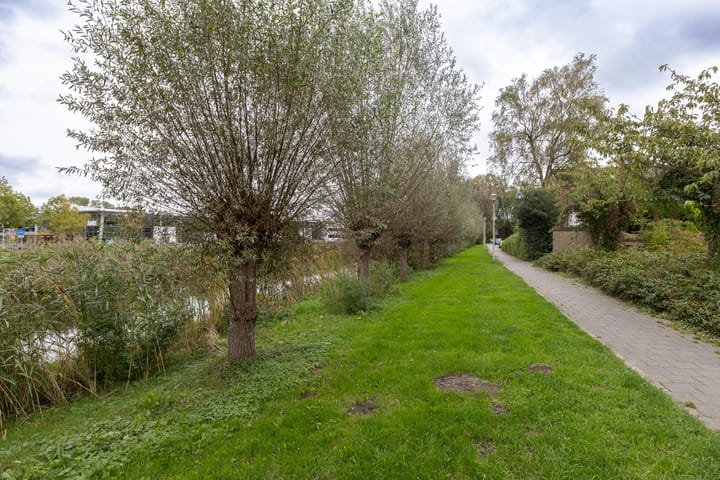 Foto 31 van Jac. P. Thijssepark 263