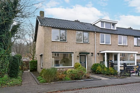 undefined main image