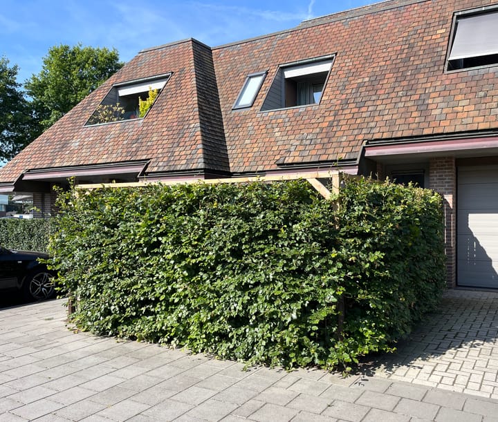 Foto 27 van Beckeringhstraat 36-10