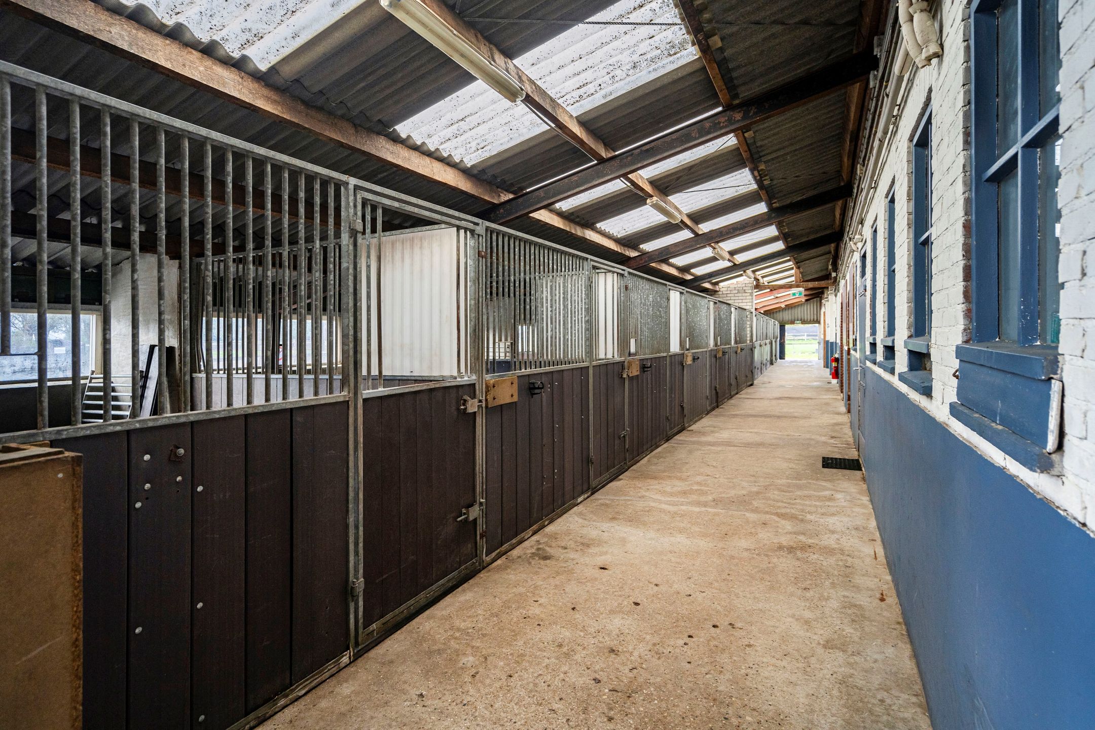 Foto 42 van Westelaarsestraat 42