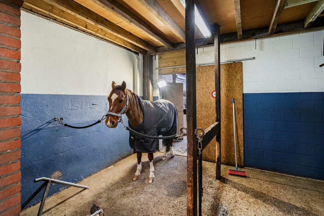 Foto 43 van Westelaarsestraat 42