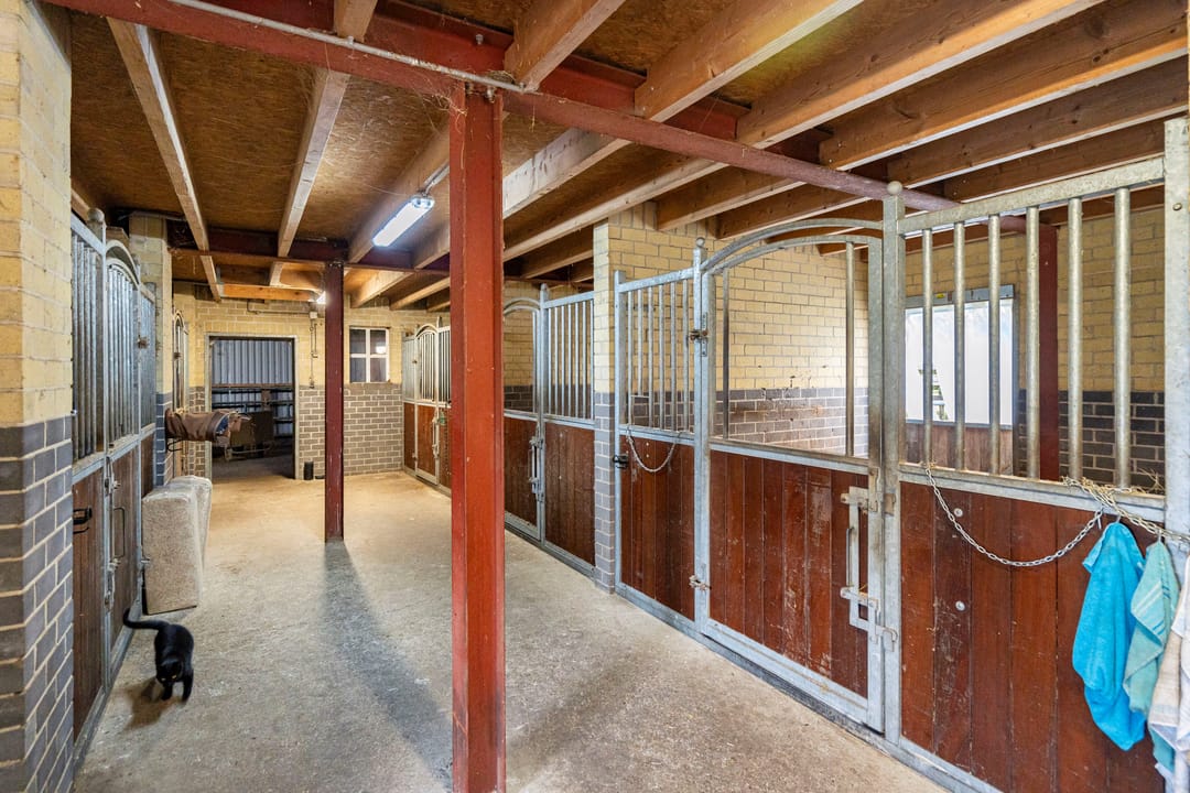 Foto 47 van Westelaarsestraat 42