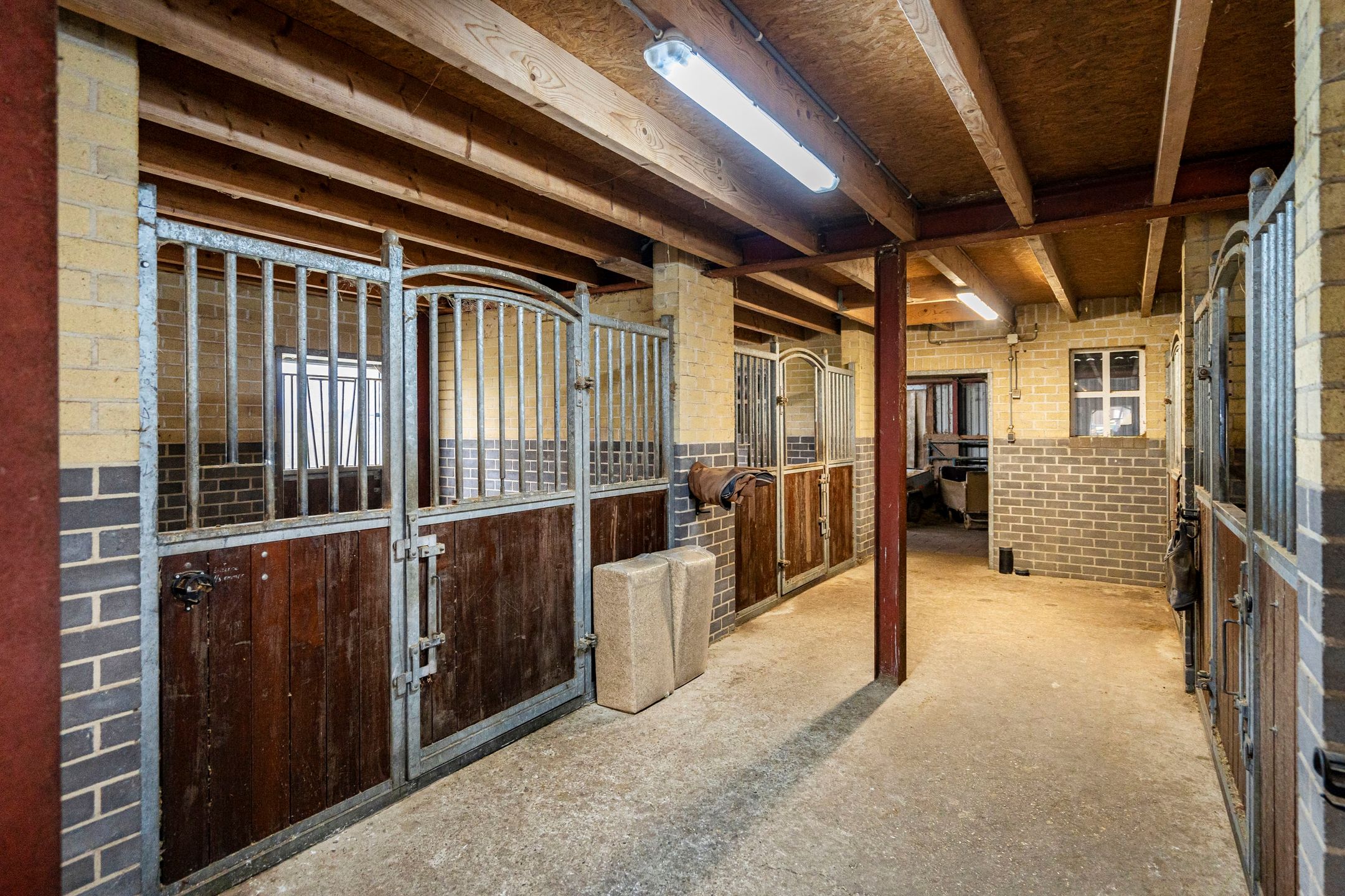 Foto 48 van Westelaarsestraat 42