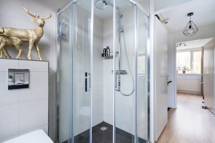 Foto 30 van Alkemaderschans 60