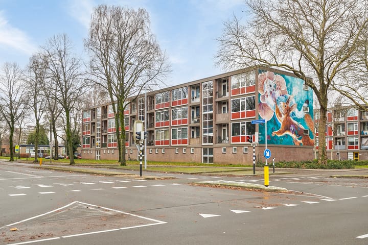 Photo 22 of Pollenstein 16