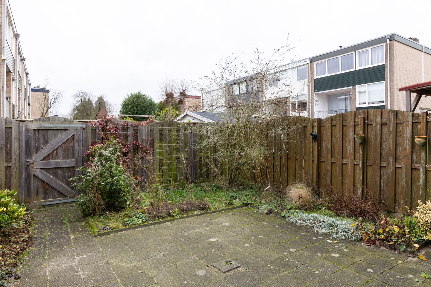 Foto 35 van Abeelstraat 62