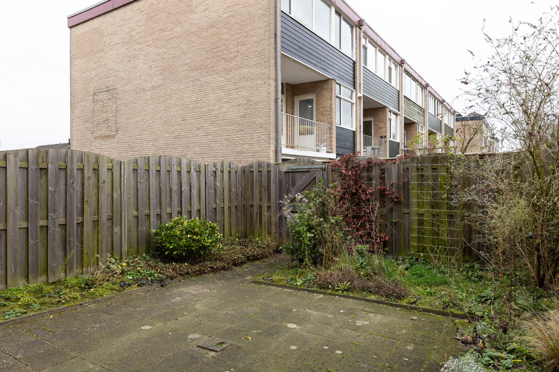 Foto 36 van Abeelstraat 62