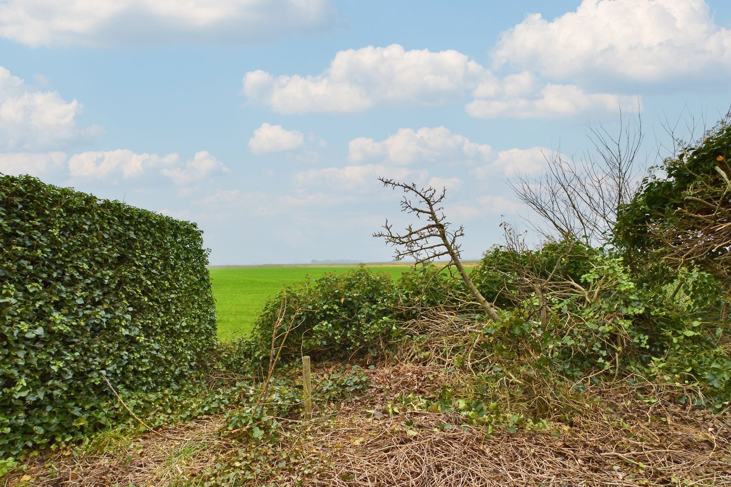 Foto 5 van Lageweg 13