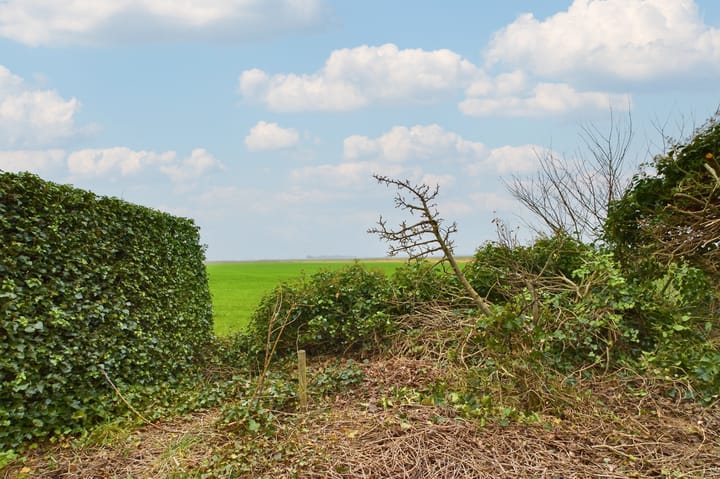 Foto 5 van Lageweg 13