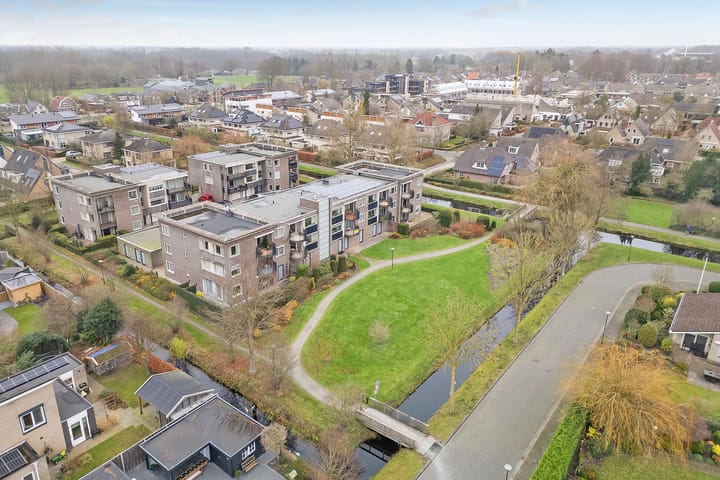 Foto 1 van Hondsroos 8