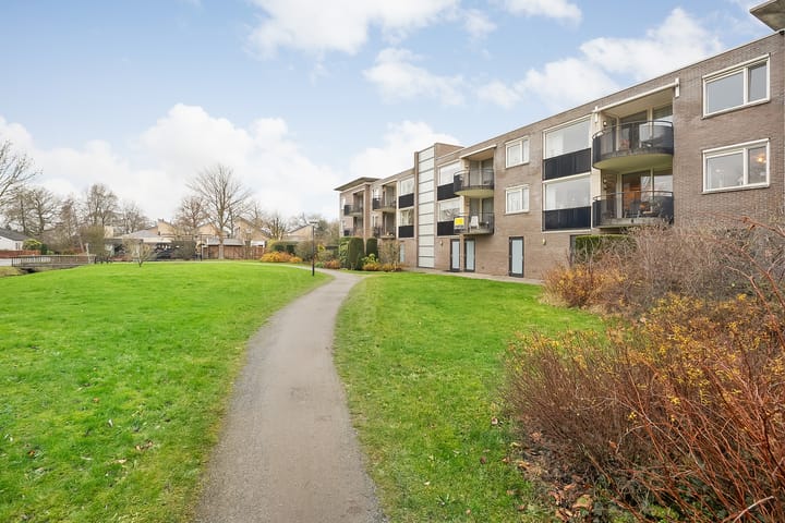 Foto 2 van Hondsroos 8