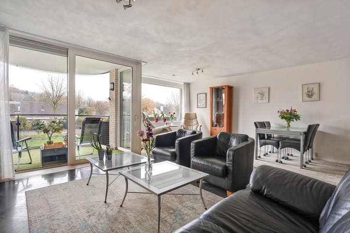 Foto 7 van Hondsroos 8