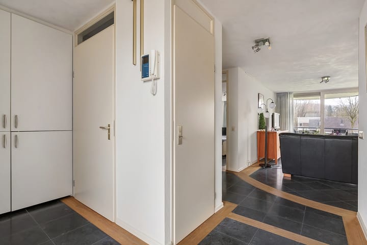 Foto 5 van Hondsroos 8