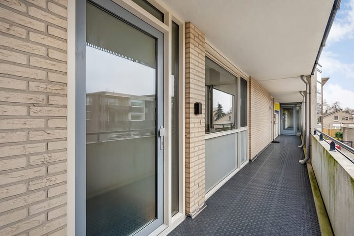 Foto 4 van Hondsroos 8