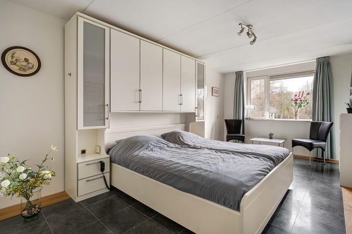 Foto 13 van Hondsroos 8