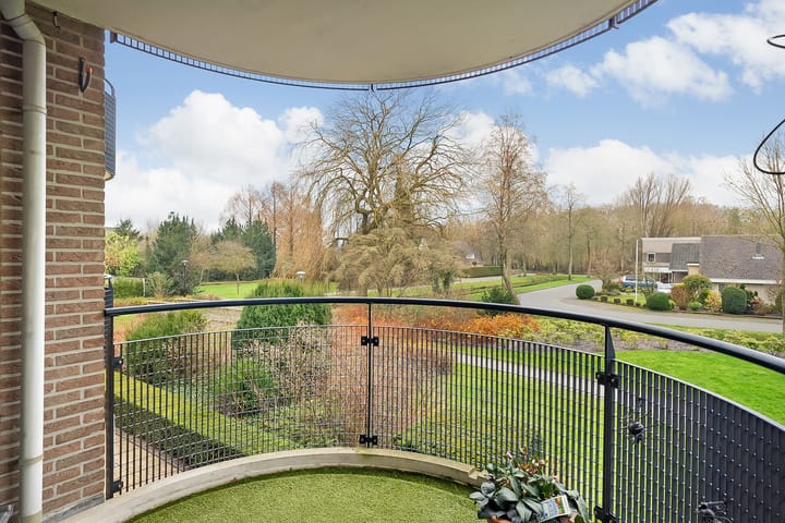 Foto 21 van Hondsroos 8