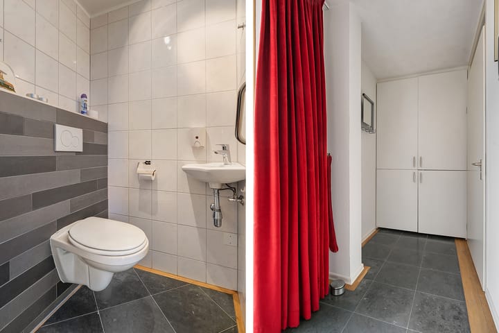 Foto 6 van Hondsroos 8