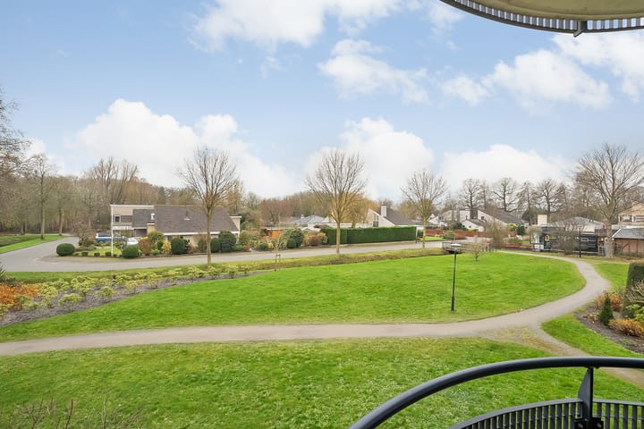 Foto 22 van Hondsroos 8