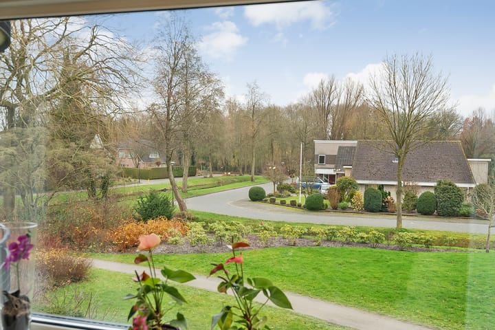 Foto 20 van Hondsroos 8