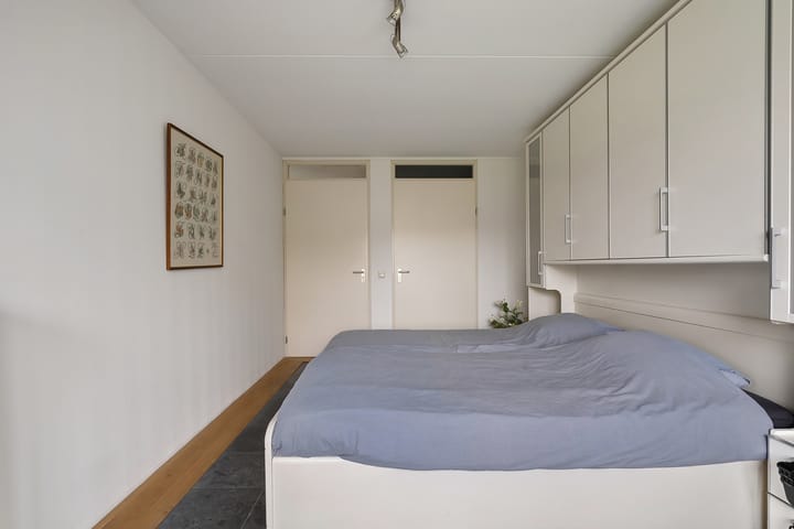 Foto 14 van Hondsroos 8