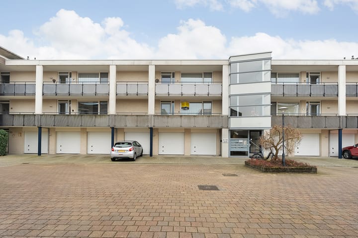 Foto 26 van Hondsroos 8