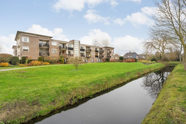 Foto 35 van Hondsroos 8