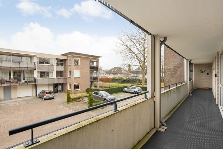 Foto 40 van Hondsroos 8