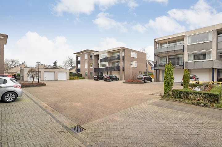 Foto 30 van Hondsroos 8