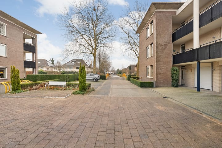 Foto 31 van Hondsroos 8