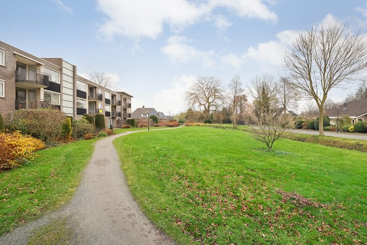 Foto 34 van Hondsroos 8