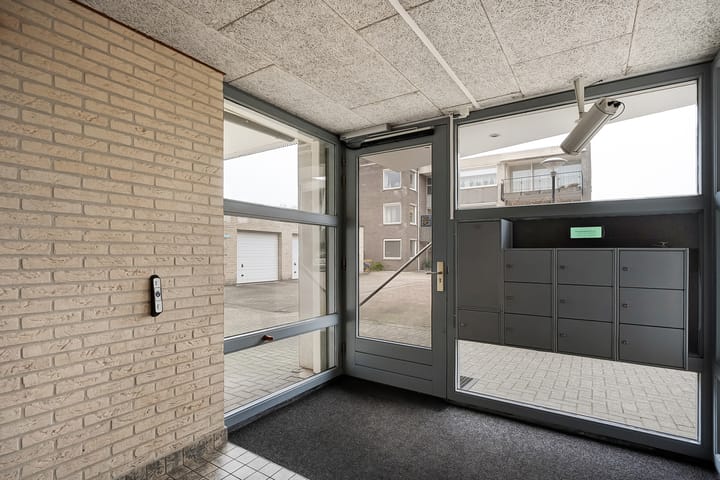 Foto 36 van Hondsroos 8