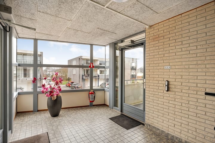 Foto 38 van Hondsroos 8