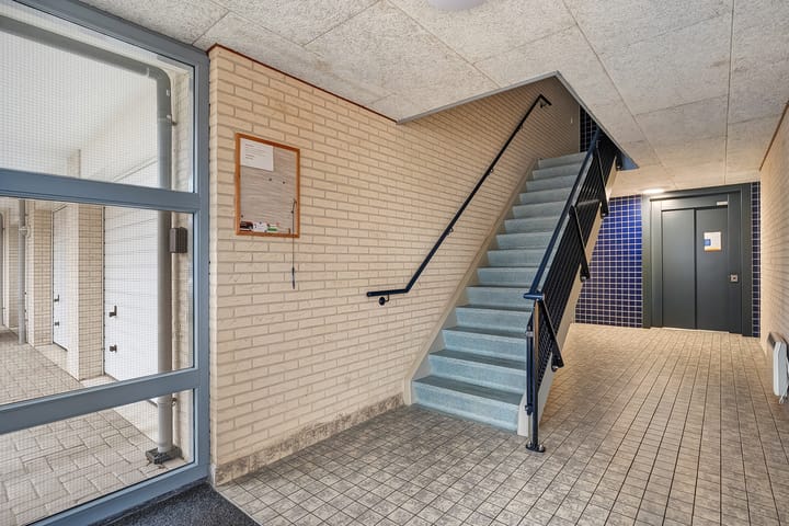 Foto 37 van Hondsroos 8