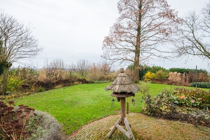 Photo 50 of Dr Hoegenstraat 1