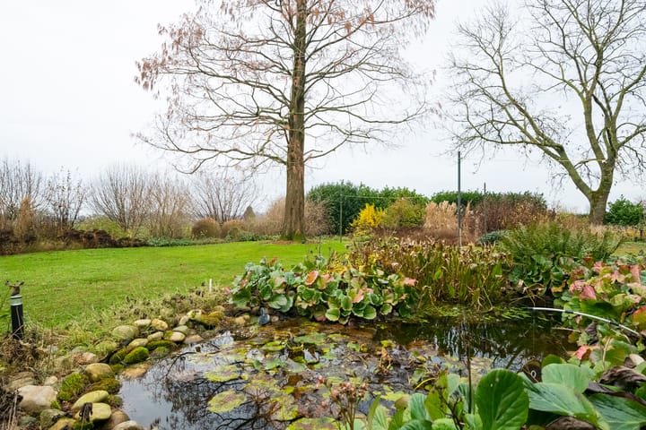 Photo 51 of Dr Hoegenstraat 1