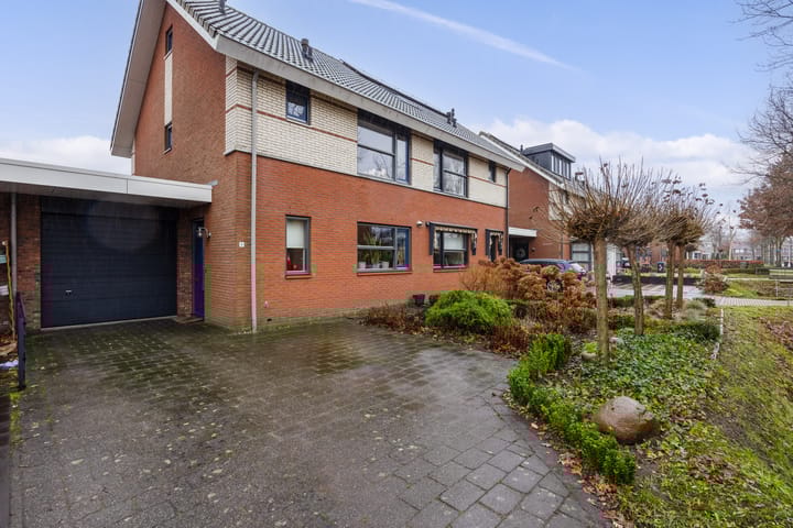 Foto 2 van Zomervlinder 5