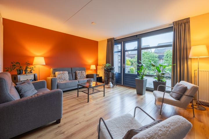 Foto 3 van Zomervlinder 5