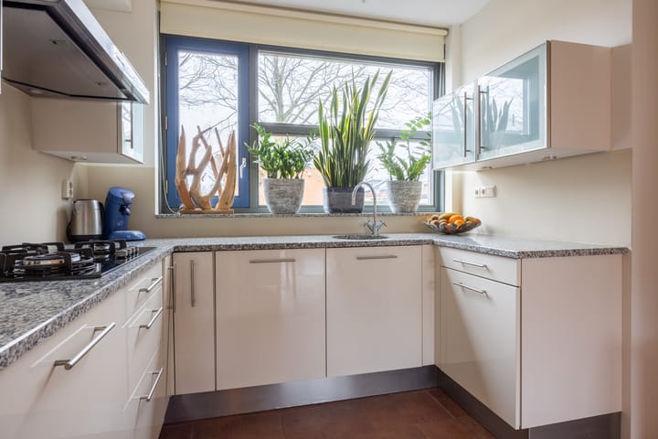 Foto 9 van Zomervlinder 5