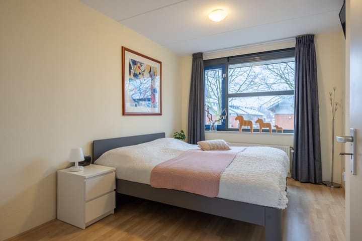 Foto 14 van Zomervlinder 5