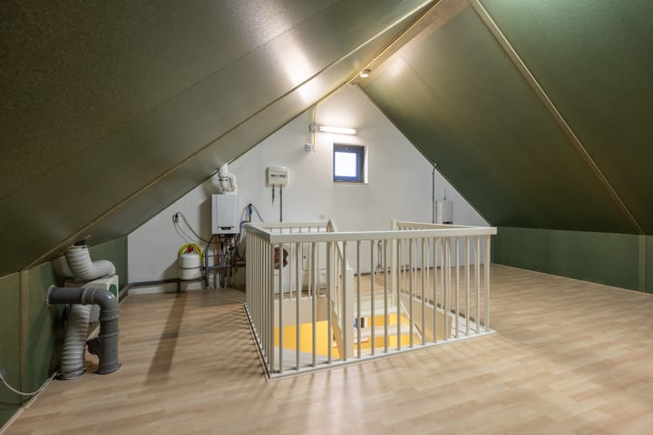 Foto 24 van Zomervlinder 5