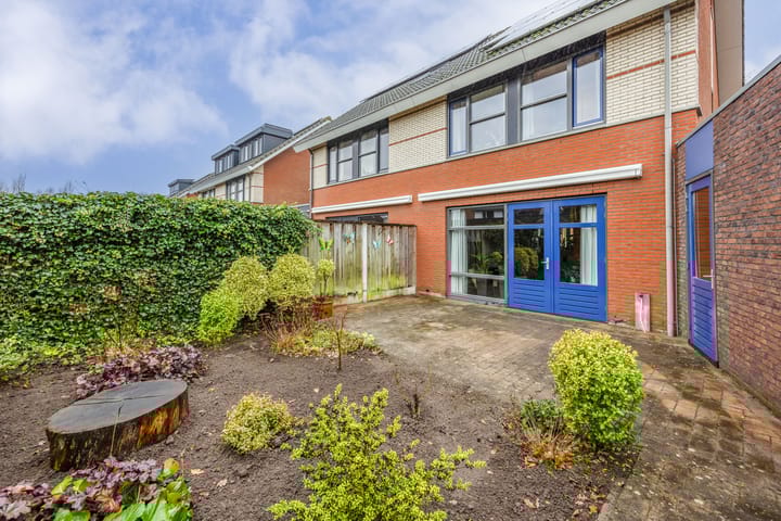 Foto 25 van Zomervlinder 5