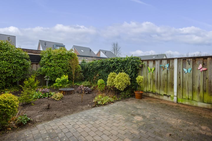 Foto 27 van Zomervlinder 5