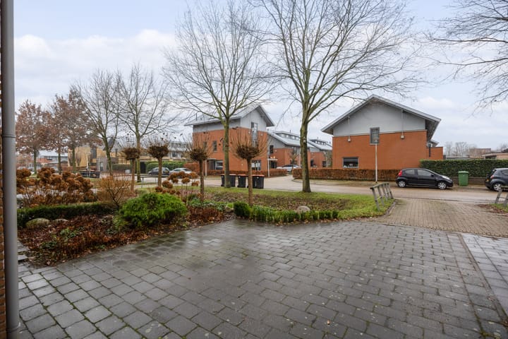 Foto 29 van Zomervlinder 5